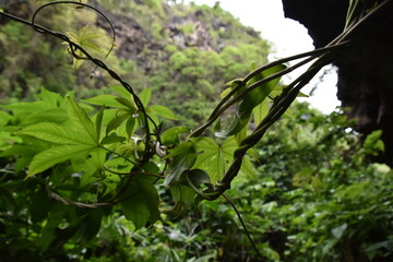 Entrem&ecirc;l&eacute;