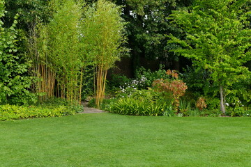 Fototapeta na wymiar Green Garden Lawn with Flowerbed and Leafy Plants