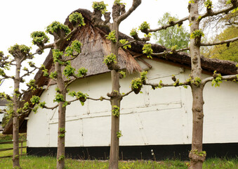 enjoying the past in Bokrijk, Belgium