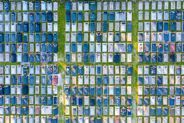 Tombs in a large cemetery with grid layout - aerial top down view. Alleys between blocks of graves...