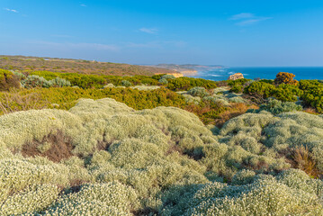 Twelve apostles rock pillars at Port Campbell national park viewed during sunset, Australia