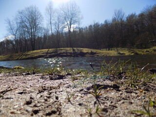 Bodensicht vom Wasser und Wald 