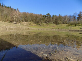 Mitten im Wald Wasser