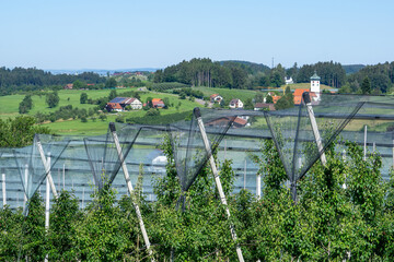 Am Bodensee bei Lindau, Oberreitnau