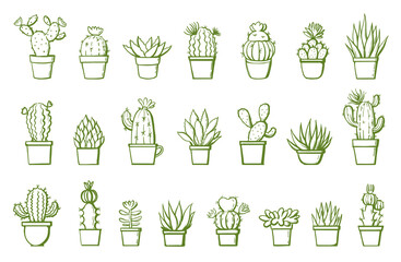 set of hand drawn cactus on white. succulents in pots vector illustration
