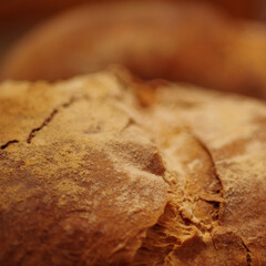 close up of cinnamon sticks
