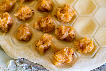 Raw homemade dumplings. Chicken meat with spices on the dough. The process of making dumplings