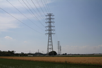 Giant Iron Towers transmit Power through the Rice Field in Japanese Agricultural Area