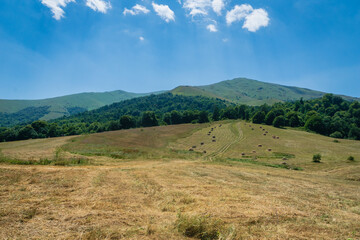 Obraz premium Mountain meadow / farm landscape in Dilijan, Armenia - summer landscape of trekking/hiking area