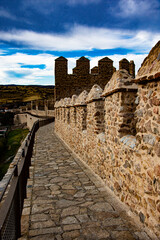 fondo muralla de avila