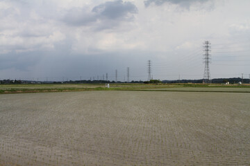 Power Transmission Line runs through the Rice Field in Japanese Agricultural Area