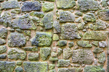 Stone wall made of irregularly shaped pieces of various size, wet after rain and covered with green moss.