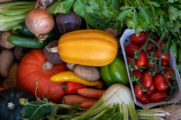 agriculture, apple, assorted, background, balanced, beetroot, beets, broccoli, carrot, carrots, celery, cherry tomatoes, copy space, courgette, cucumber, cucumbers, diet, eating, farming, food, fresh