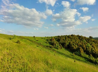 green mountainside with trees on a sunny day against a blue sky with clouds