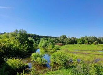 river flowing among green trees and fields on a sunny day against a blue sky