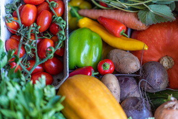agriculture, apple, assorted, background, balanced, beetroot, beets, broccoli, carrot, carrots, celery, cherry tomatoes, copy space, courgette, cucumber, cucumbers, diet, eating, farming, food, fresh