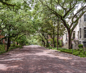 Fototapeta na wymiar Very Shaded Residential Red Brick Paved Street with Southern Live Oak Trees and Spanish Moss in Savannah Georgia