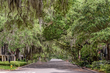 Very Shaded Residential Red Brick Paved Street with Southern Live Oak Trees and Spanish Moss in Savannah Georgia