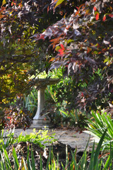 Obraz na płótnie Canvas Bird bath in the garden seen through colorful foliage