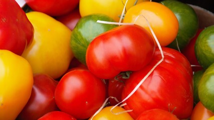 Fresh organics tomatoes