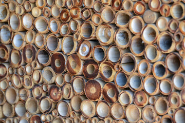 Pancake dessert that we decorate with fruit