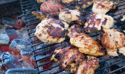 The grill season is open. Grilled turkey on backyard.