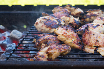 The grill season is open. Grilled turkey on backyard.
