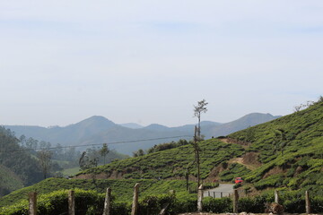 Obraz premium Beautiful Landscape at 