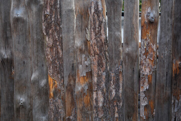 Old wooden natural texture painted in blue, brown, white, green color