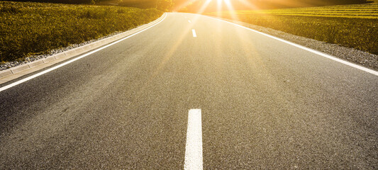 Morning summer road panorama landscape, with yellow fields