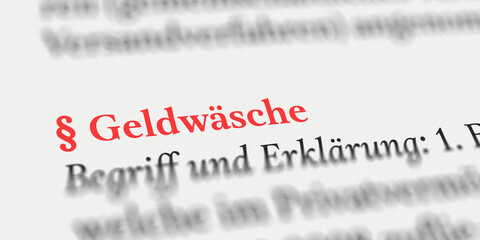 Geldwäsche im Buch