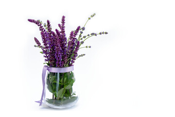 Lilac flowers with green leaves in a vase on a white background