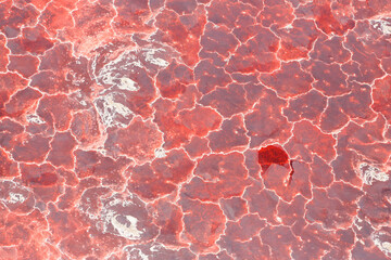Aerial view of the salt pan and mineral crust with red algae in Lake Magadi, Great Rift Valley, Kenya. Lake Magadi is the southernmost lake in the Kenyan Rift Valley, north of Tanzania's Lake Natron.
