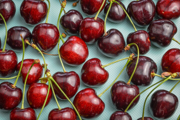 Red organic ripe cherries on a light blue background