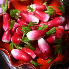 assiette de radis biologique