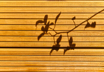 Wood wall in the shadows