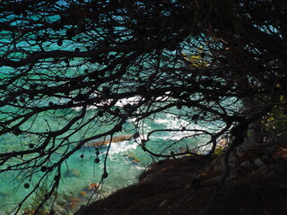 Paisaje Betlem &Aacute;rbol Pi&ntilde;a 2