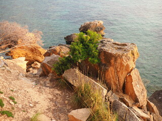 Atardecer rocas 1