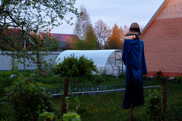 An EFFIGY in a blue shirt with a hat IN the GARDEN.