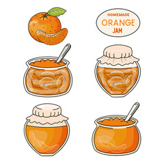 Set of hand drawn vector orange jam jars isolated on white background. Delicious homemade dessert.