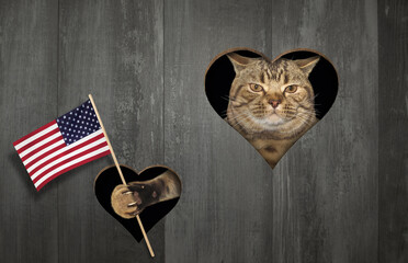 The beige patriotic cat stuck his paw with the USA flag through a heart shaped hole of a wooden...