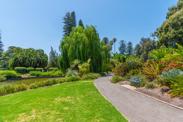 Artificial pond at botanic garden in adelaide, Australia