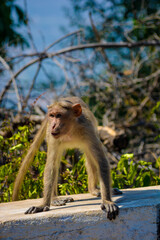 Obraz premium A capture of flowers.