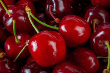 Fresh Nice Cherries Just Picked_4