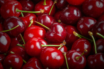 Fresh Nice Cherries Just Picked_1