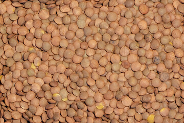 Fototapeta premium Lentils. Food background. Background texture of grains lentils. Top view on lentil grains. Close-up, horizontal, top view. The concept of a healthy diet and agriculture.