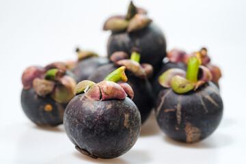 mangosteen fruits placed on a white background