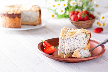 Cottage cheese poppy seed cake in a ceramic plate on a wooden background. Copy space
