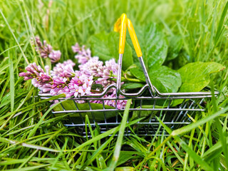 Closeup of lilac flowers in a metal supermarket basket on green grass. The concept of unity with...