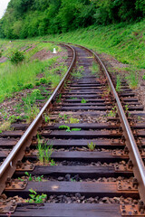 Obraz premium Railroad with wooden sleepers in the forest